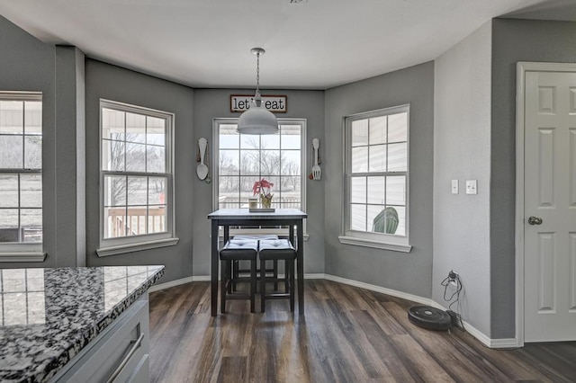 21 Meadow Brook Ln, Anderson, MO 64831 - dining space with a healthy amount of sunlight and dark hardwood / wood-style floors