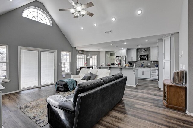 21 Meadow Brook Ln, Anderson, MO 64831 - living room featuring dark hardwood / wood-style flooring, sink, high vaulted ceiling, and ceiling fan