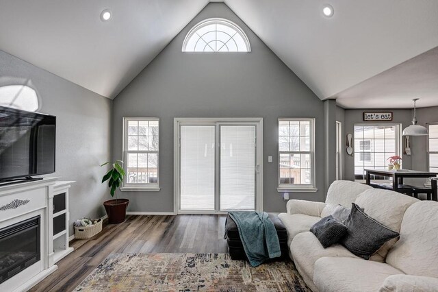 21 Meadow Brook Ln, Anderson, MO 64831 - living room featuring plenty of natural light, dark hardwood / wood-style floors, and high vaulted ceiling