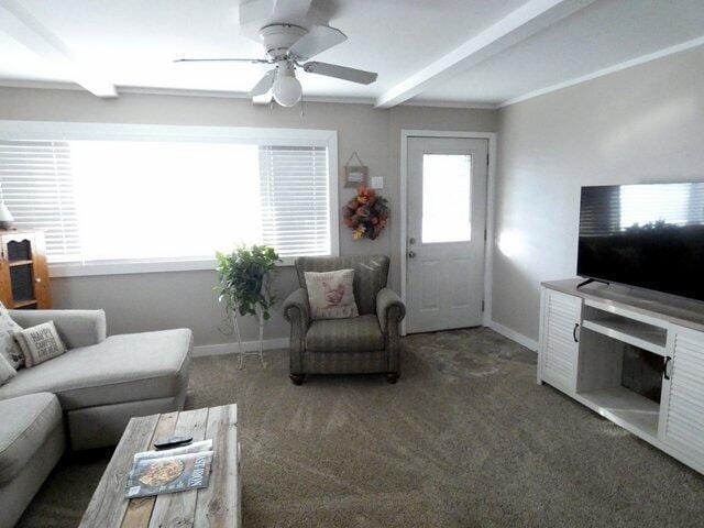 carpeted living room featuring ceiling fan, beam ceiling, and a healthy amount of sunlight