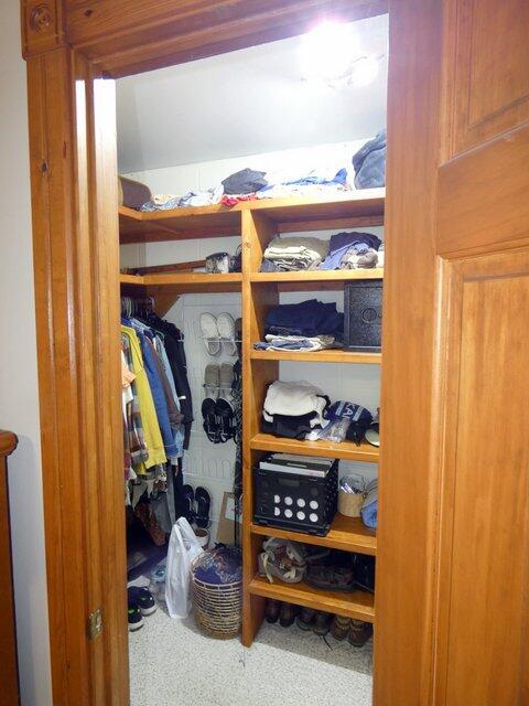 walk in closet with carpet