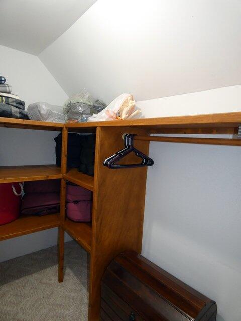 spacious closet with lofted ceiling and carpet flooring