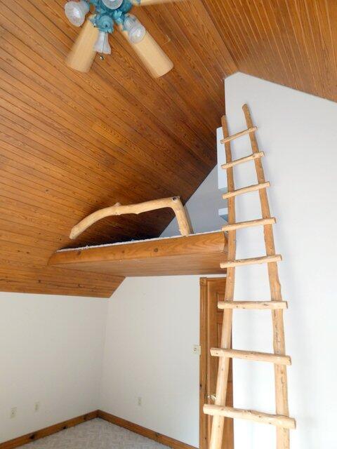 interior space featuring lofted ceiling, wood ceiling, ceiling fan, and carpet