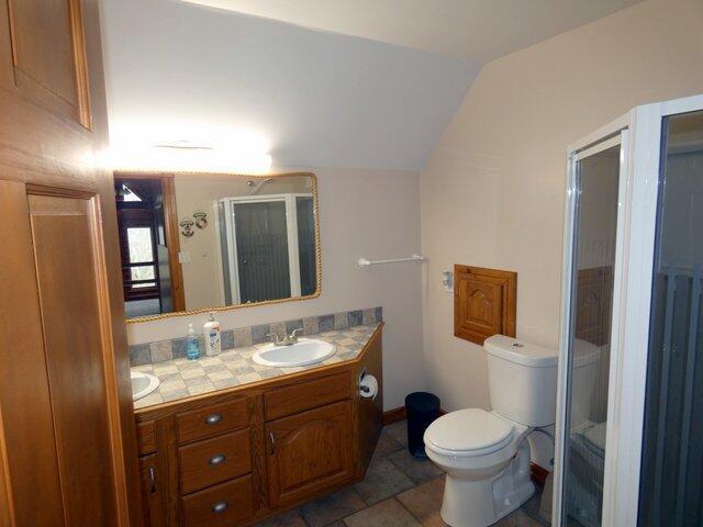 bathroom with walk in shower, vanity, toilet, and vaulted ceiling