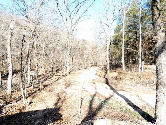 view of local wilderness