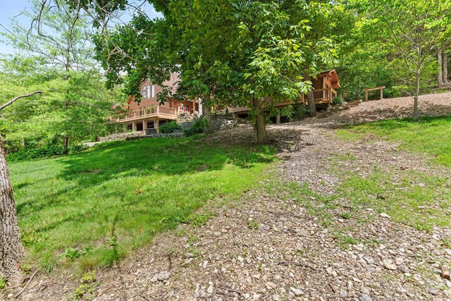 192 John Hollow Dr, Galena, MO 65656 - photo 5
