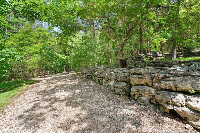 192 John Hollow Dr, Galena, MO 65656 - photo 12