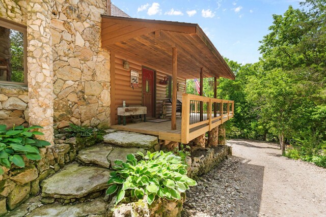 192 John Hollow Dr, Galena, MO 65656 - photo 14