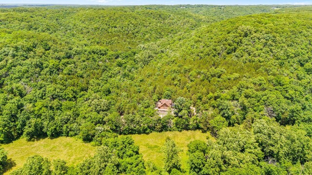 192 John Hollow Dr, Galena, MO 65656 - photo 67