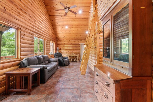 192 John Hollow Dr, Galena, MO 65656 - photo 62
