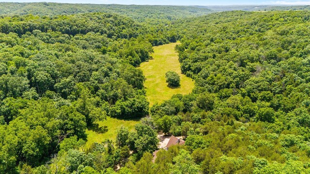 192 John Hollow Dr, Galena, MO 65656 - photo 70