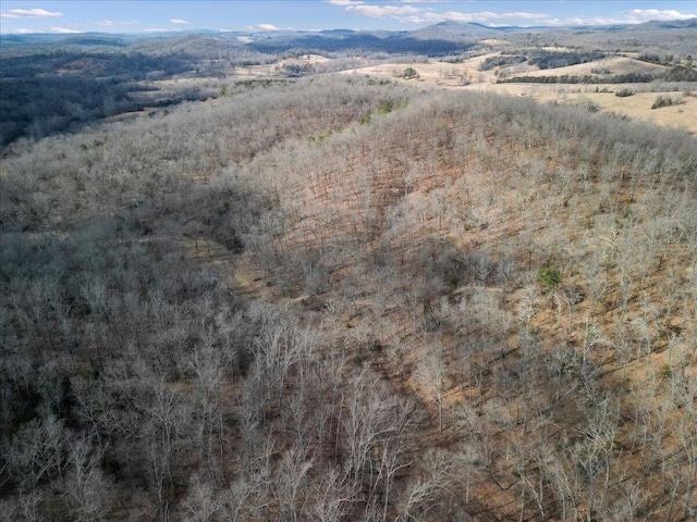 drone / aerial view with a mountain view