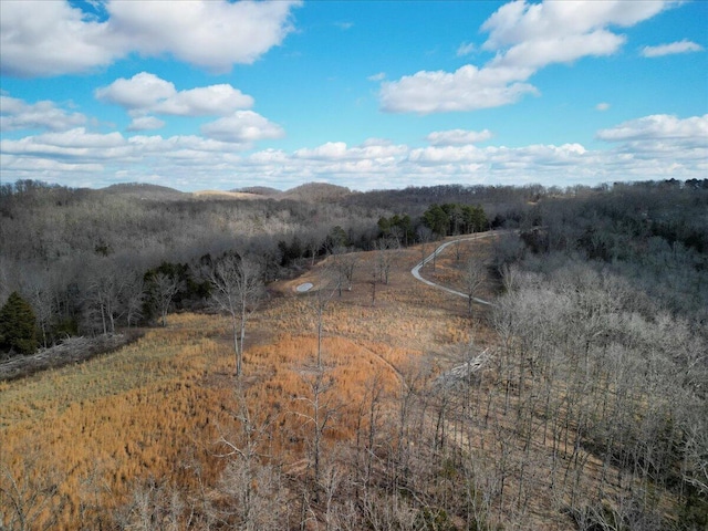 view of mountain feature