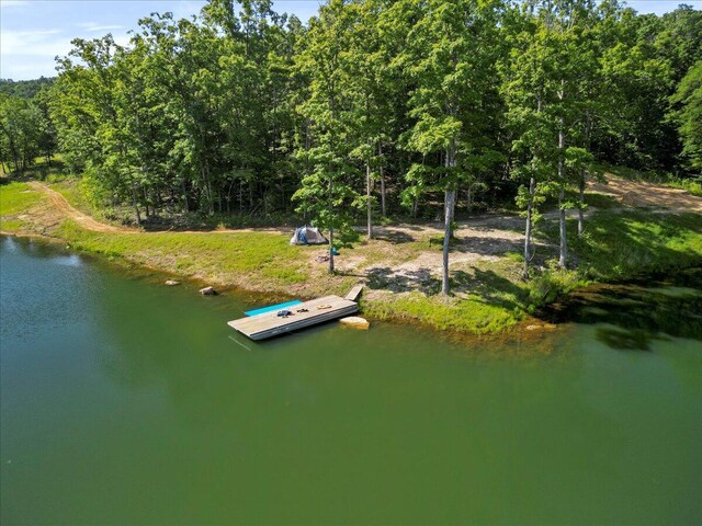 84 County Road 104, Gainesville, MO 65655 - photo 5