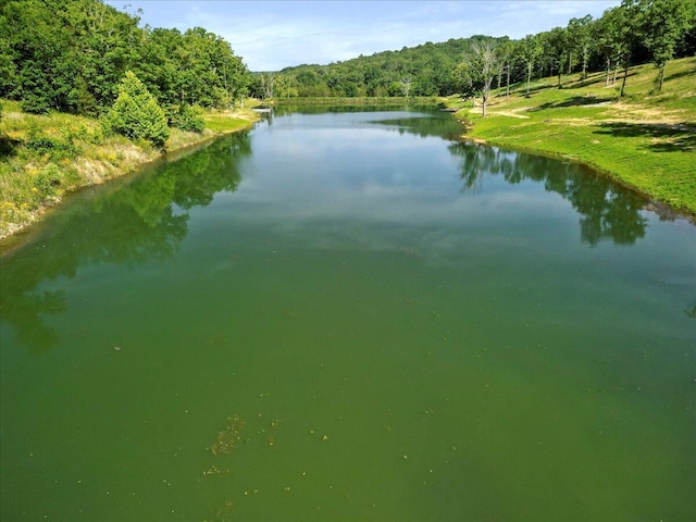 84 County Road 104, Gainesville, MO 65655 - photo 11