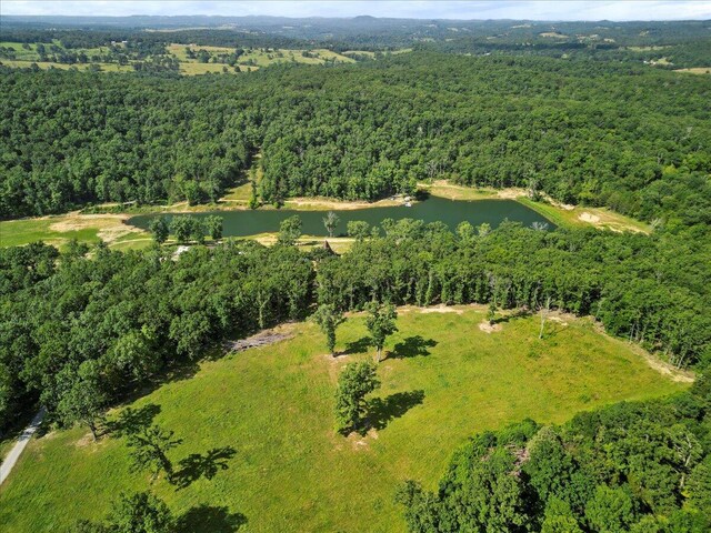 84 County Road 104, Gainesville, MO 65655 - photo 12