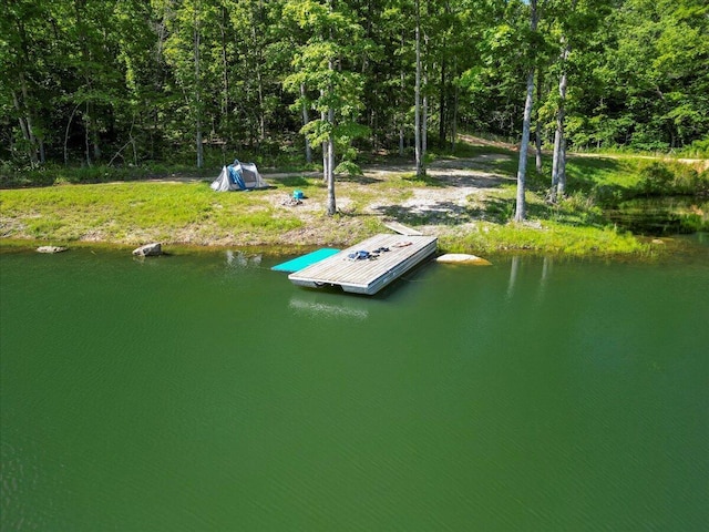 84 County Road 104, Gainesville, MO 65655 - photo 8