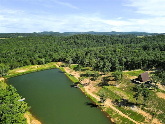 84 County Road 104, Gainesville, MO 65655 - photo 6