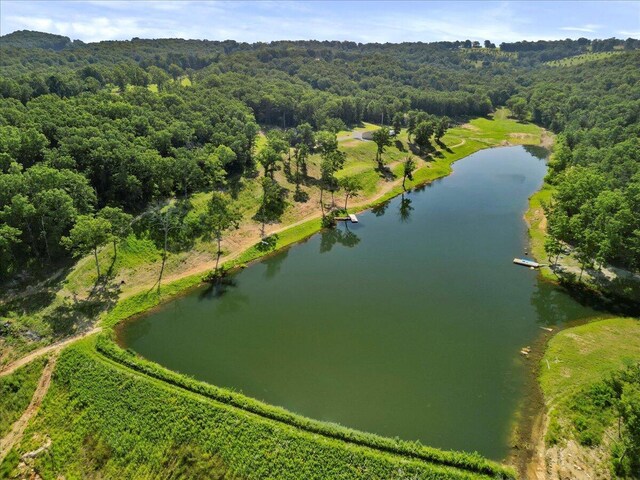 84 County Road 104, Gainesville, MO 65655 - photo 10