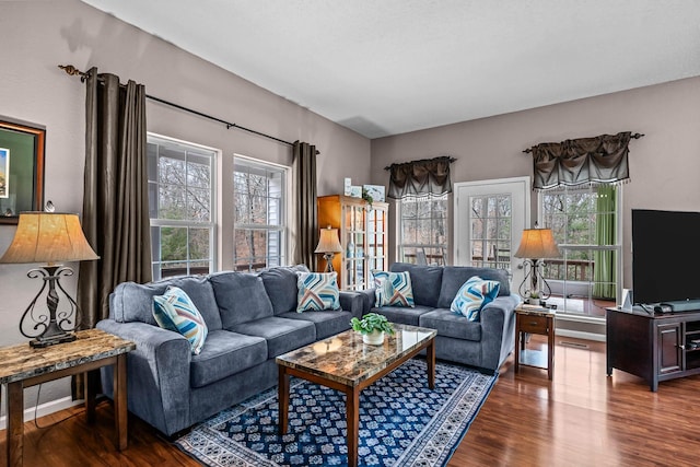 living room featuring dark hardwood / wood-style flooring and a wealth of natural light