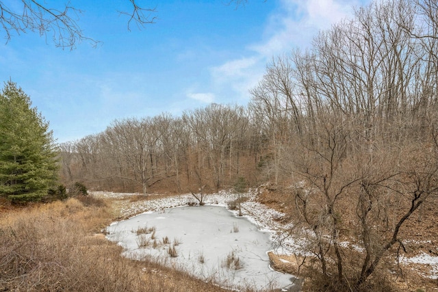 view of snow covered land