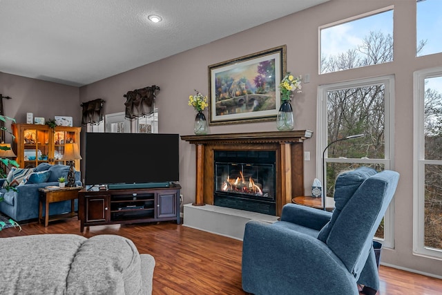 living room featuring hardwood / wood-style floors and a textured ceiling