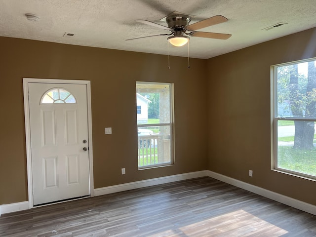 foyer with wood-type flooring, a textured ceiling, and plenty of natural light