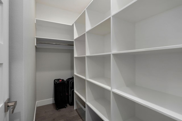 spacious closet featuring dark hardwood / wood-style flooring