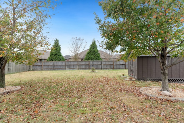 view of yard with a storage shed