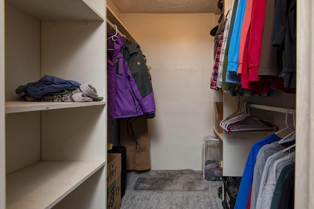 spacious closet featuring carpet