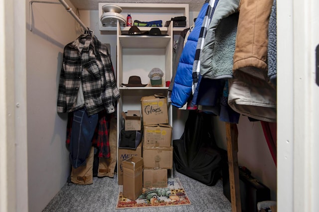 spacious closet featuring carpet floors