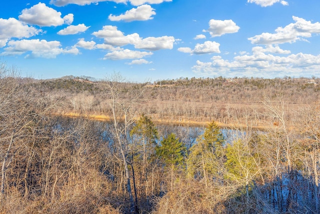 view of local wilderness with a water view