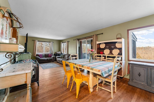 dining space featuring hardwood / wood-style floors