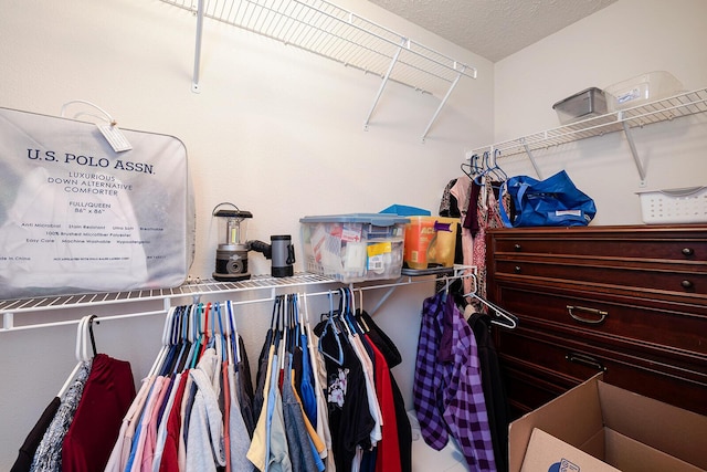 view of walk in closet