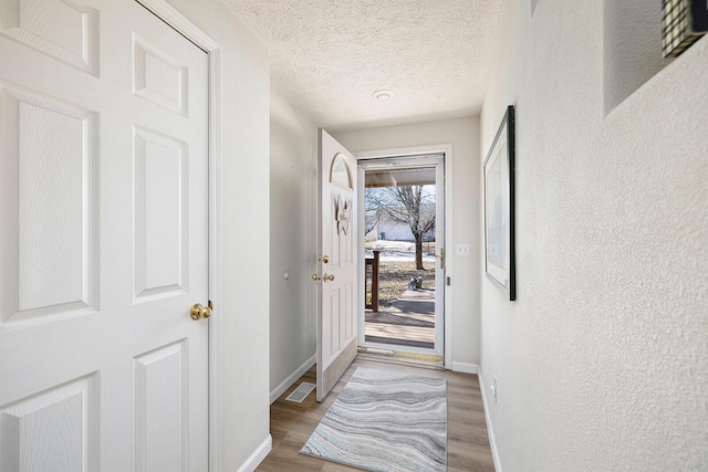 entryway featuring wood-type flooring and a textured ceiling