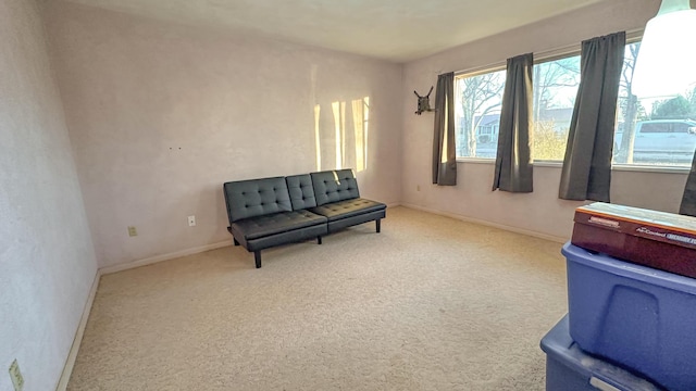 sitting room with light carpet