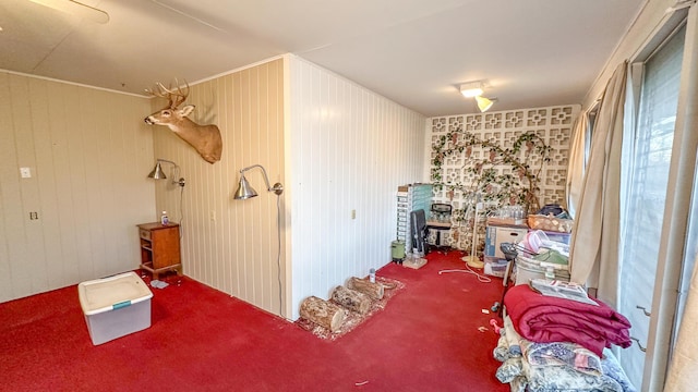 miscellaneous room featuring wood walls and carpet flooring