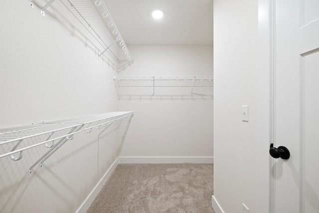 spacious closet with carpet floors