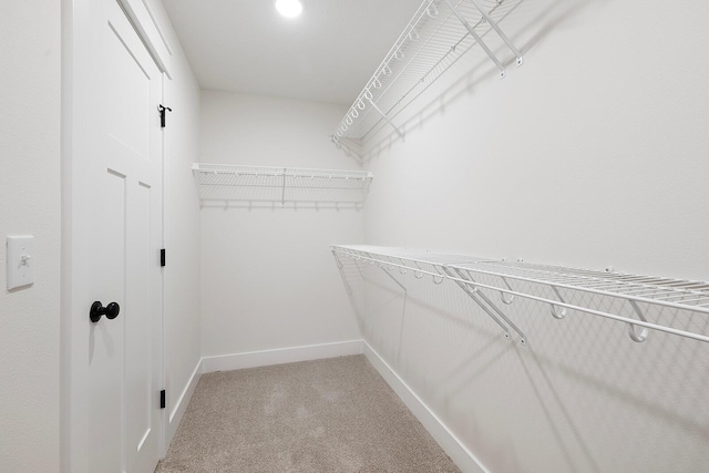 walk in closet with carpet flooring