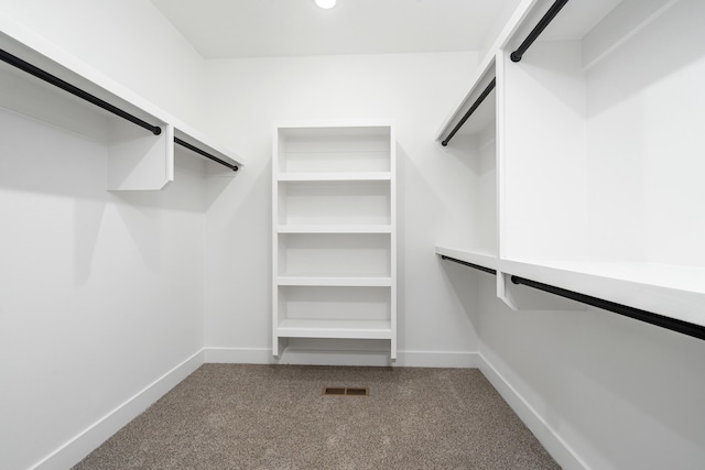 walk in closet with carpet floors