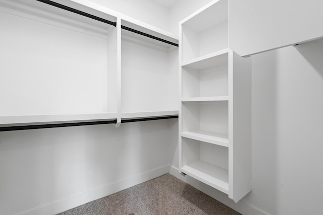 walk in closet with carpet floors