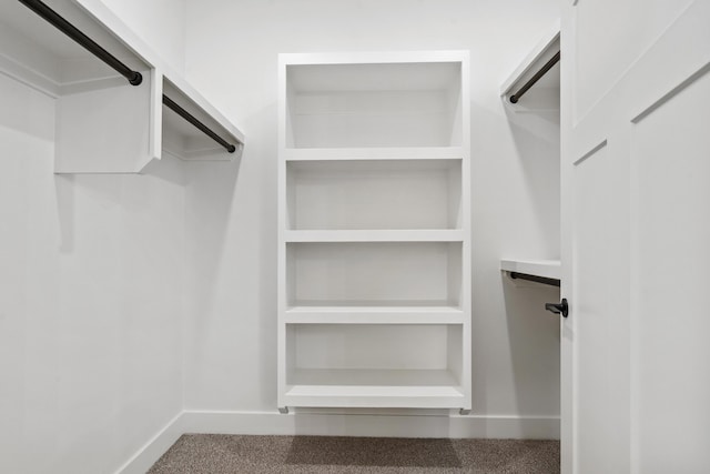 walk in closet with carpet floors