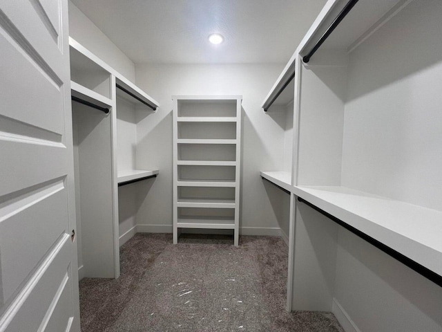 view of walk in closet