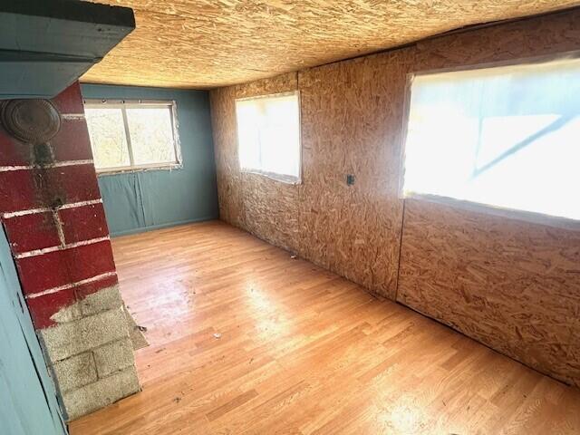 spare room featuring wood-type flooring