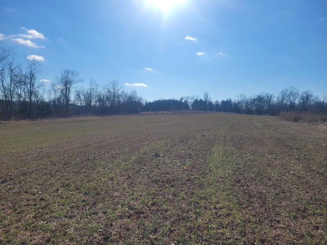 view of yard featuring a rural view