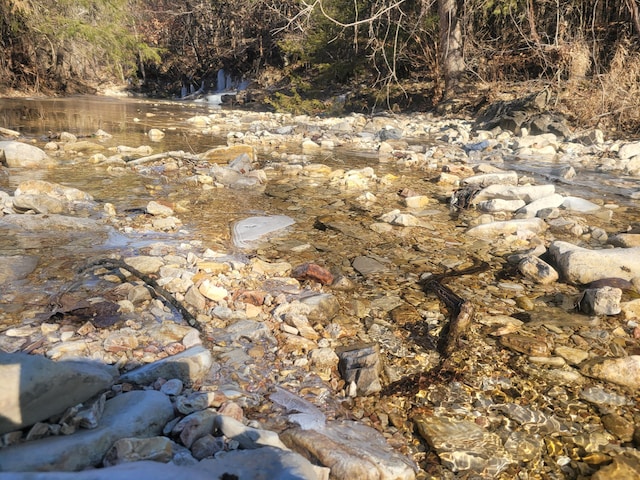 view of local wilderness