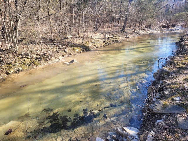 view of water feature