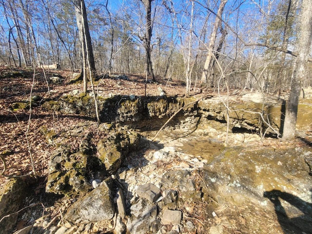 view of nature