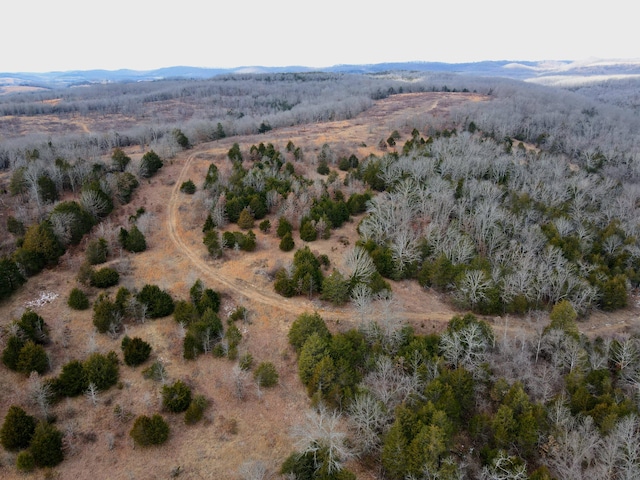 aerial view featuring a mountain view