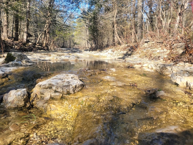 view of local wilderness